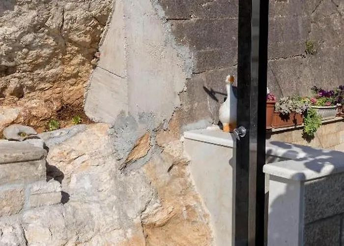 Kusalo- With Patio 1